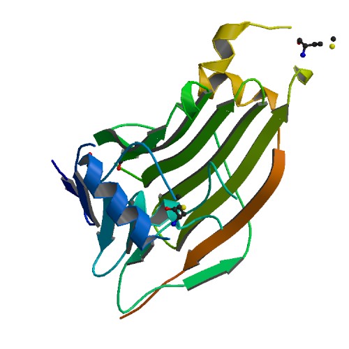 500x500 Rcsb Pdb