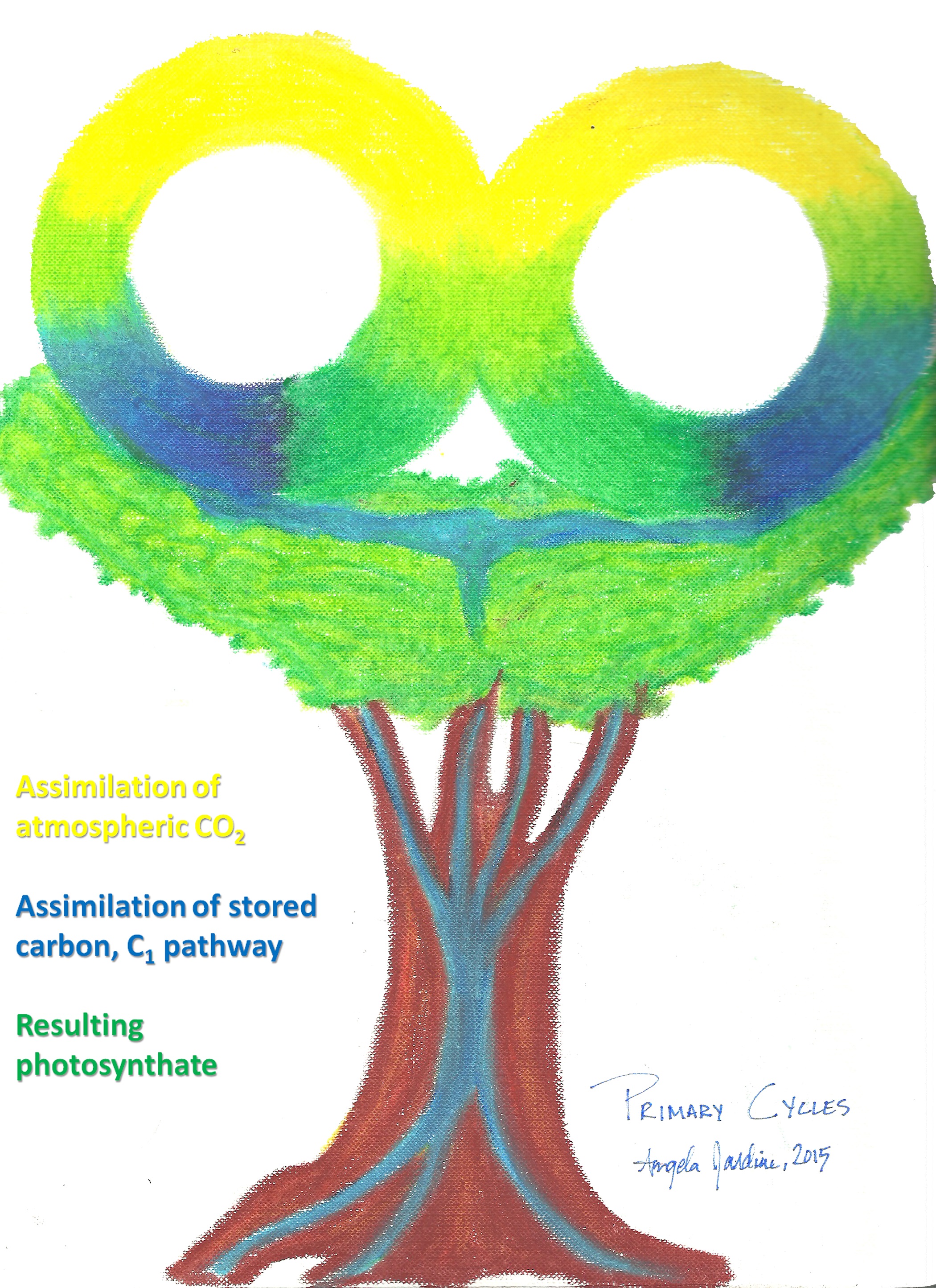 2100x2888 tes search submitted highlights