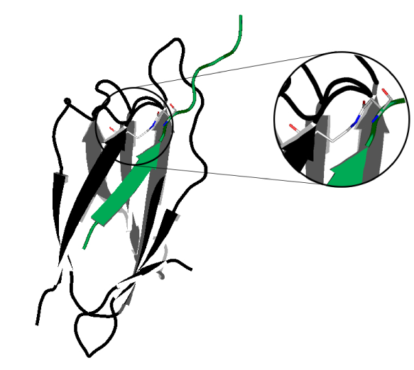 583x522 Teamunsw Australiadesign