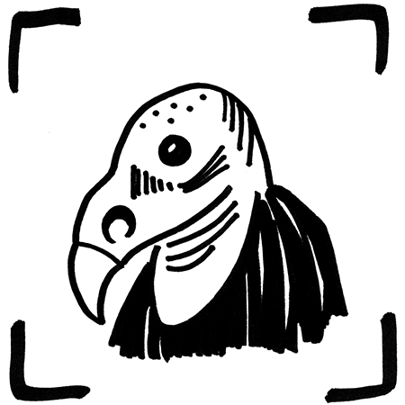 450x450 patience oaktree's hidden past really organized