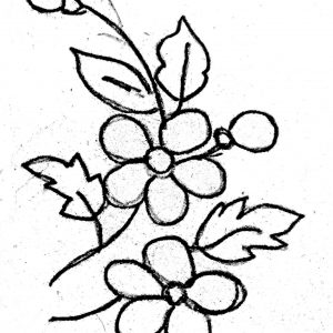 300x300 How To Draw A Simple Flower New Simple Flower Patterns Drawing