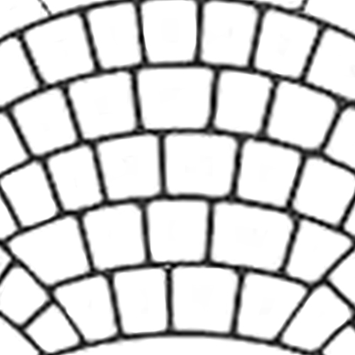 500x500 Stencilcoat Patterns Fish Scale