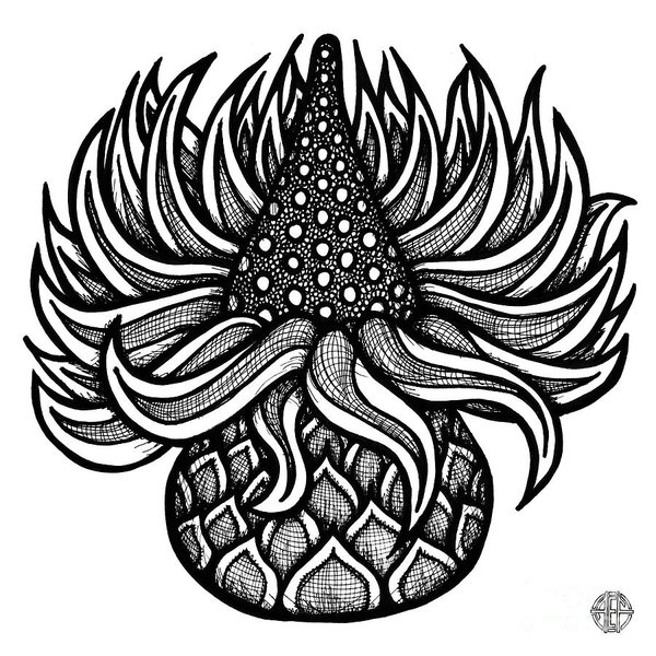 600x600 Fantasy Nature Drawings