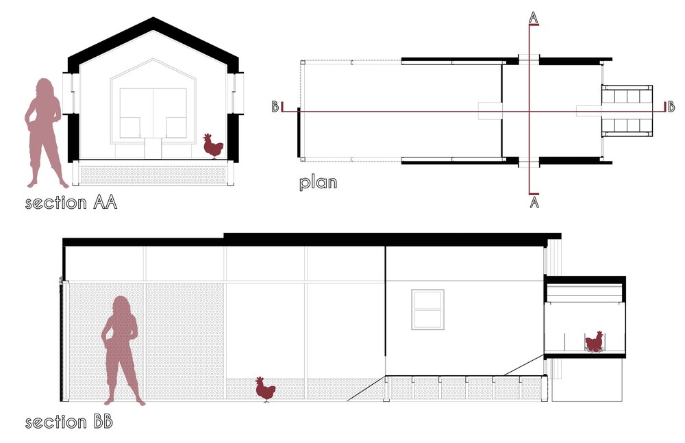 1000x647 orpington pavilion kaleb seal design