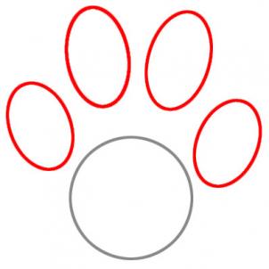302x302 Draw A Paw Print, Step