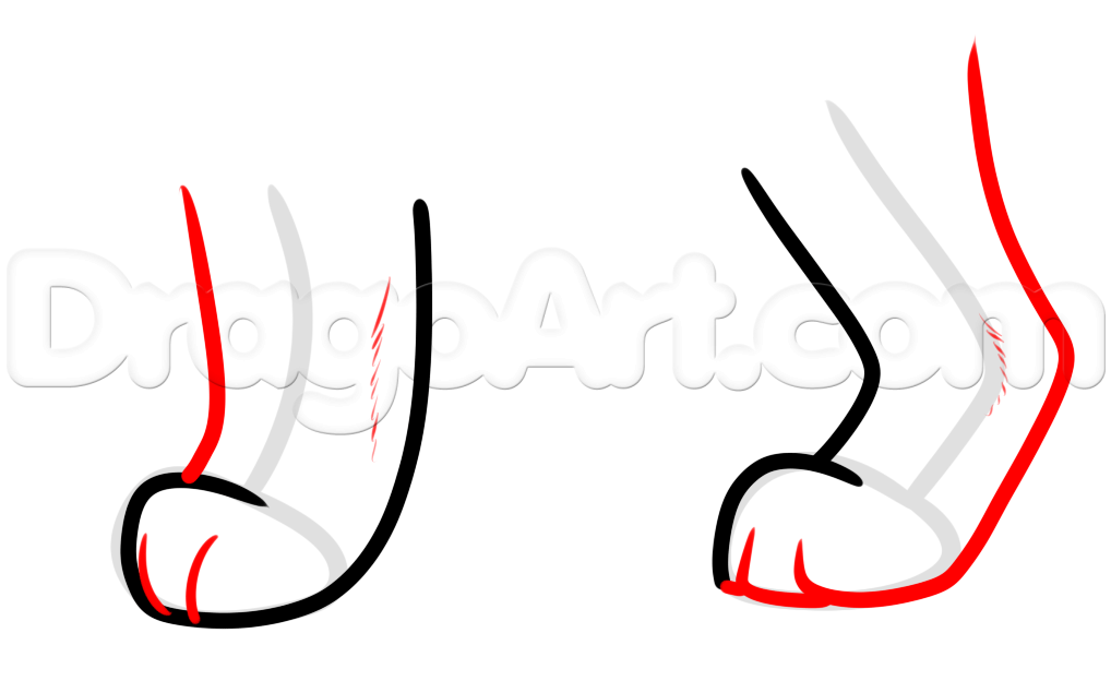 1018x624 How To Draw Cat Paws, Step