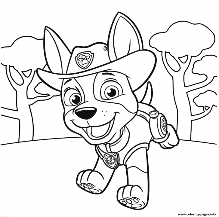 728x722 Coloring Pages Paw Patrol Coloring Pages To Print Pj Masks
