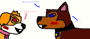 300x130 Paw Patrol Chase X Skye