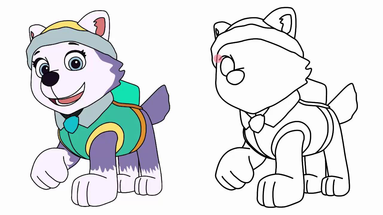 1280x720 How To Draw Everest From Paw Patrol Characters Step