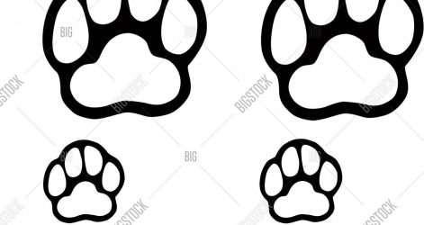 471x250 Robo Dog Paw Patrol Drawing Easy Vector Print Line Step