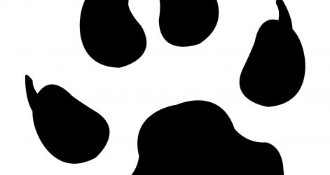 471x250 Dog Paw Print Drawing A Line Robo Patrol Vector Easy Ajedrezdeen