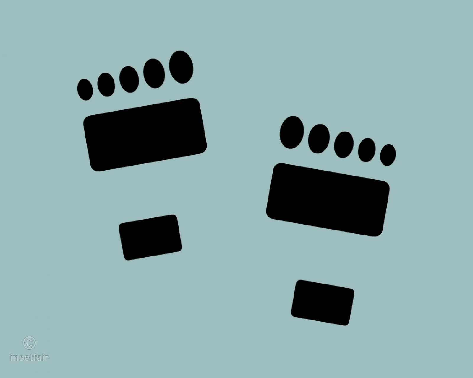 1600x1281 Paw Print Drawing With Adobe Flash