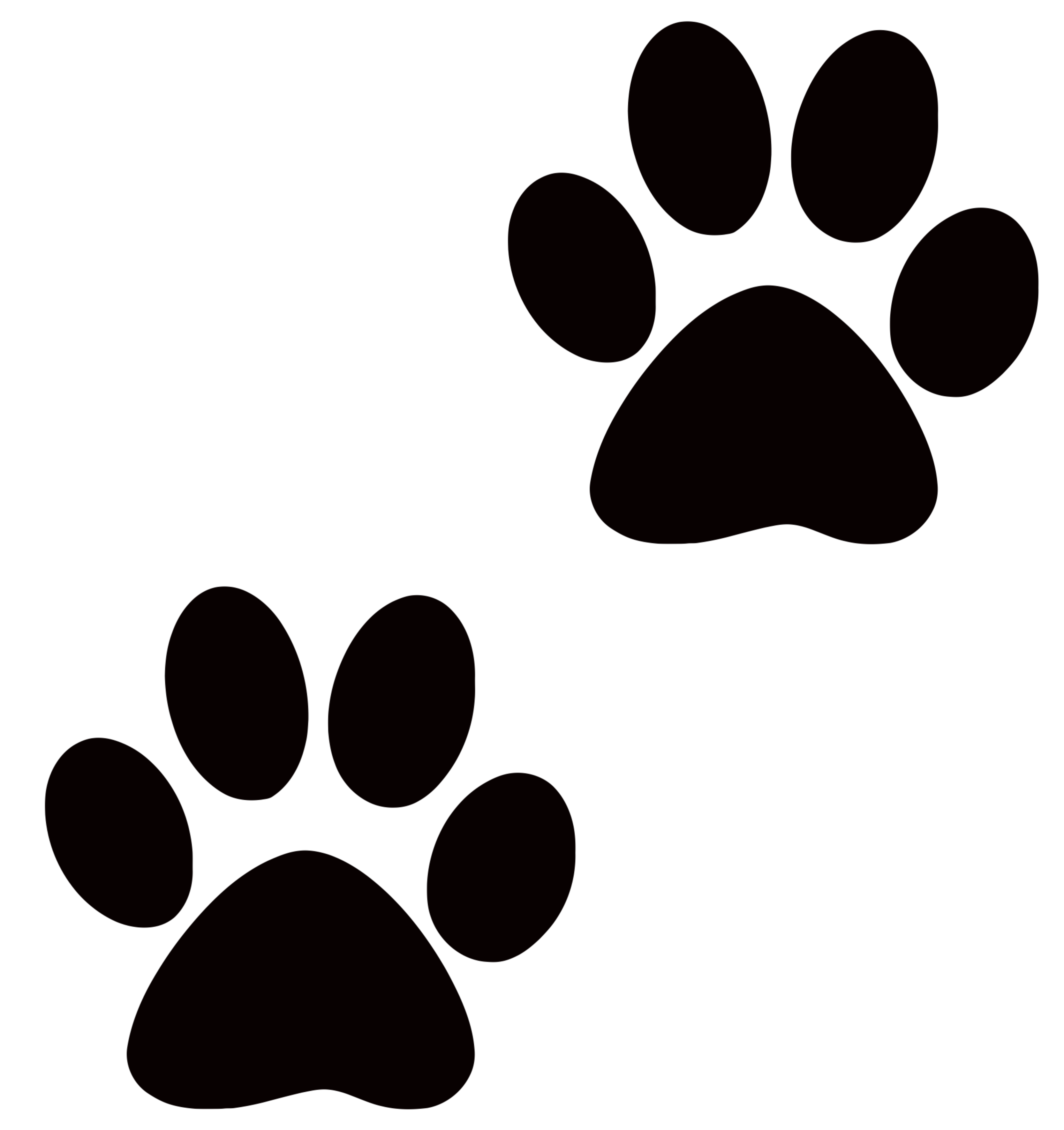 3333x3541 Transparent Paw Drawing, Picture