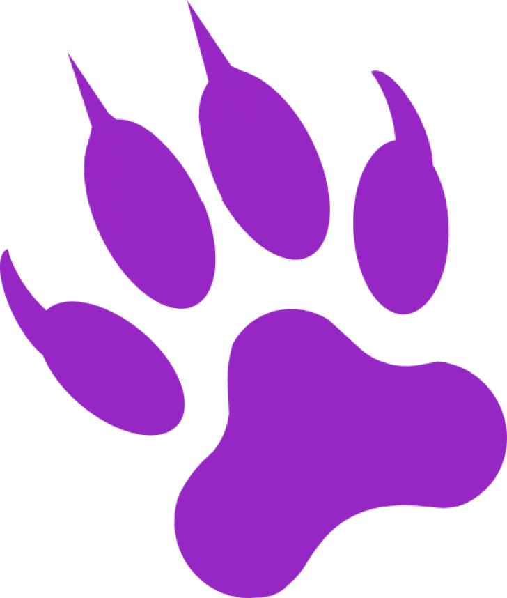 728x858 Panther Paw Print Drawing