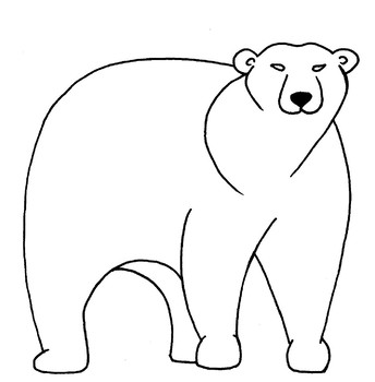 344x350 Bear Drawing Pdf