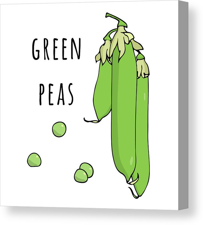678x750 green pea pods with peas vector illustration canvas print