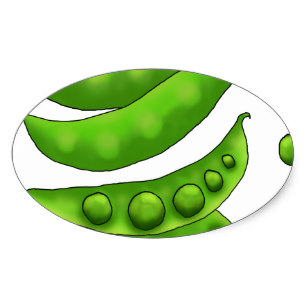 307x307 green snap peas and pea pods drawing gifts on zazzle au