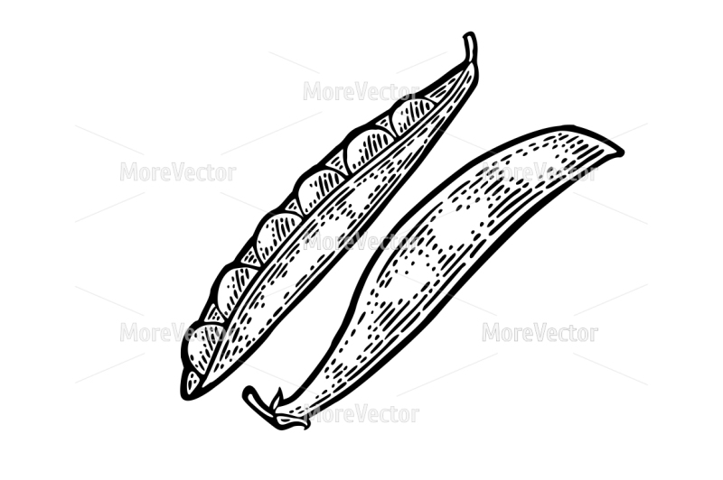 800x532 two fresh peas pods