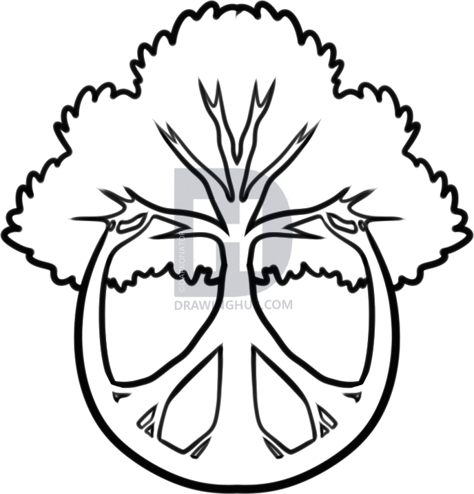 688x717 How To Draw A Peace Tree, Step