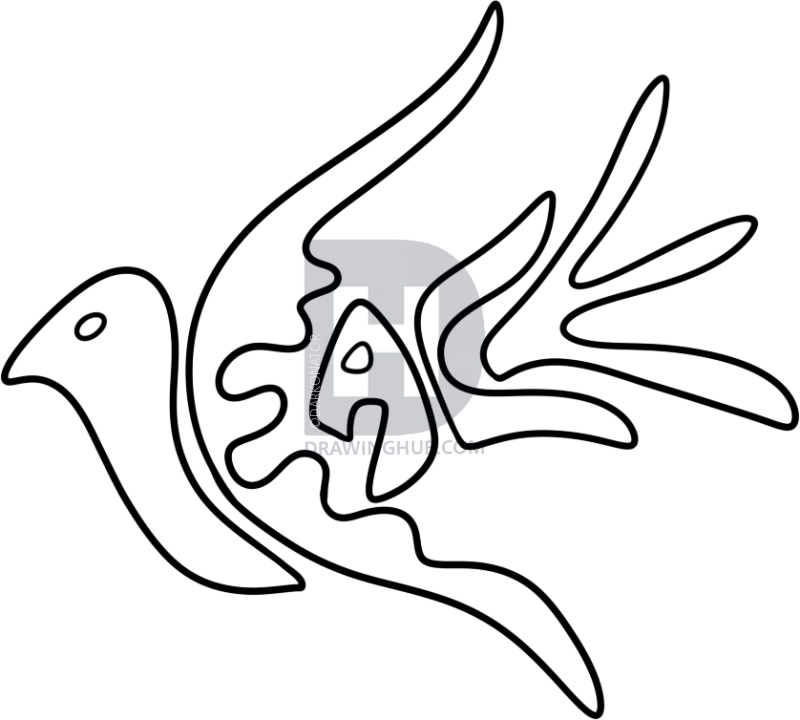 800x720 How To Draw A Peace Dove, Step