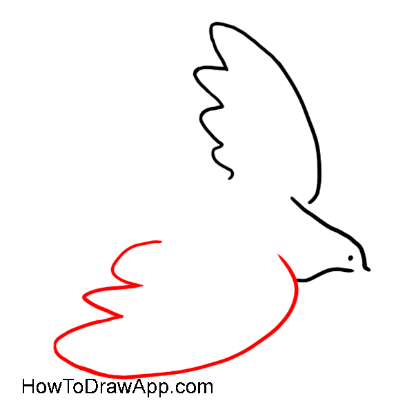 600x600 Learn How To Draw A Dove Of Peace In Pablo Picasso's Style