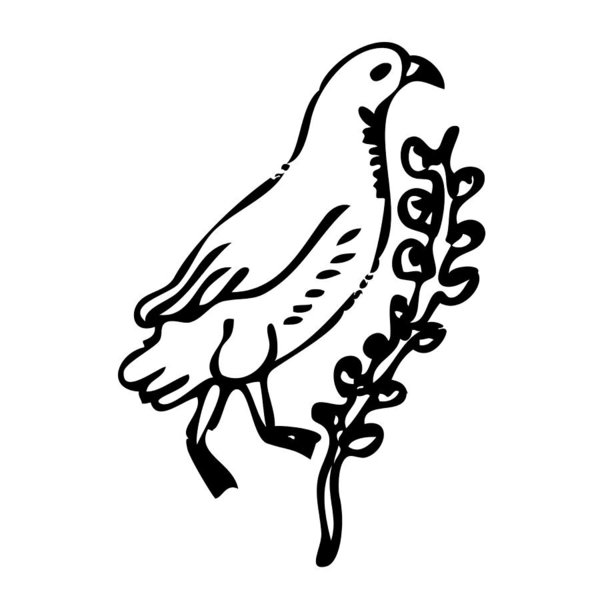 600x600 Peace Dove Drawings Fine Art America