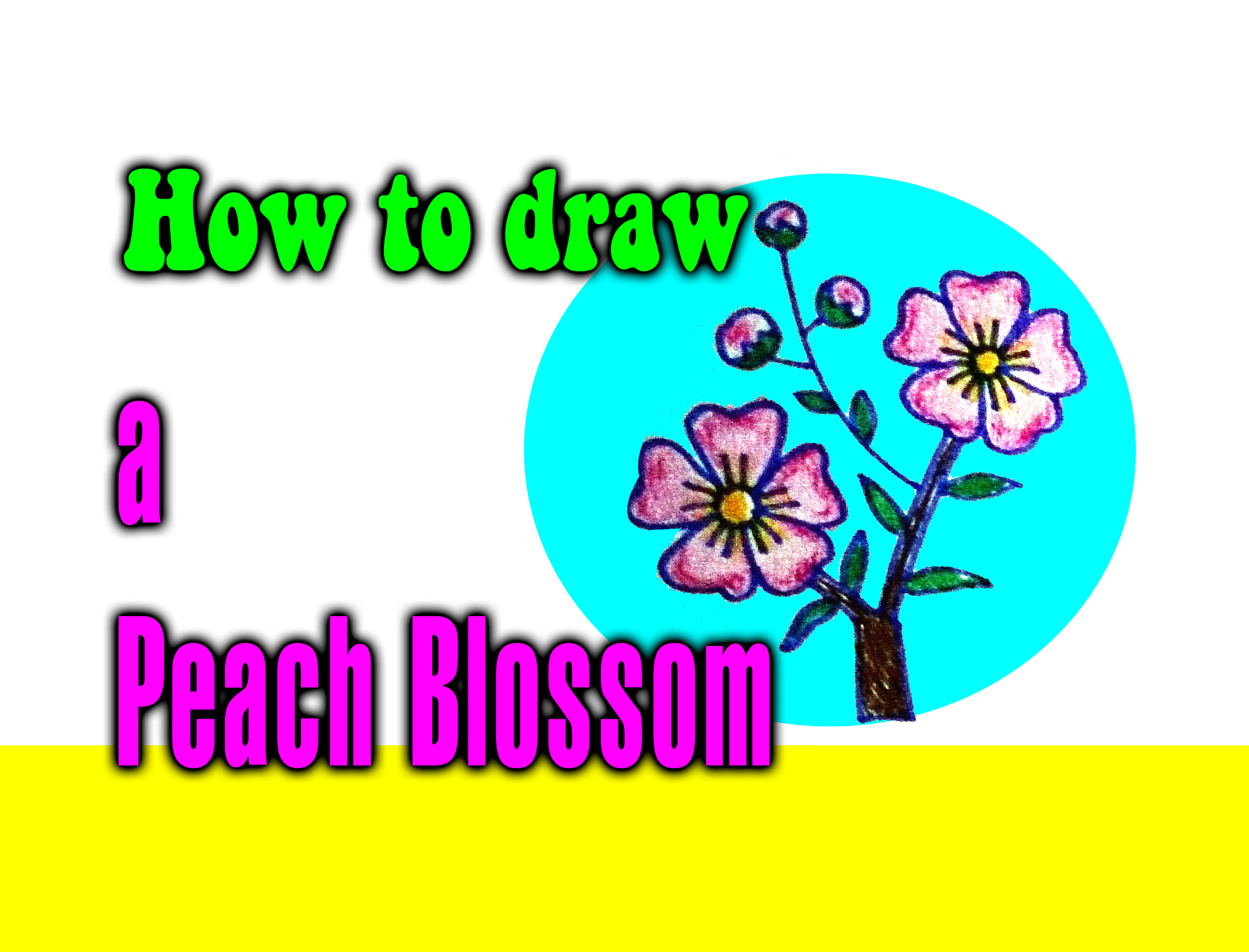 2784x2123 How To Draw A Peach Blossom For Kids