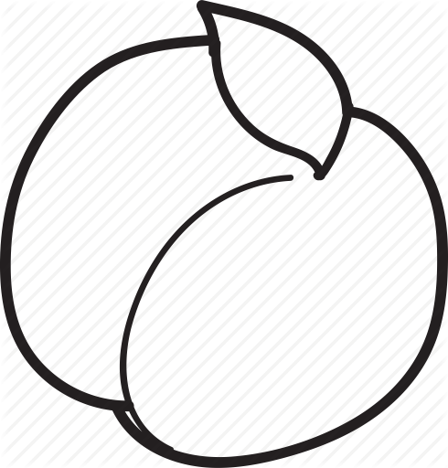 490x512 peaches drawing hand drawn huge freebie! download