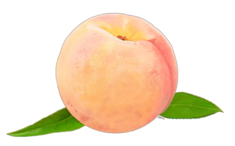 750x466 Peach Drawing Png Uploaded