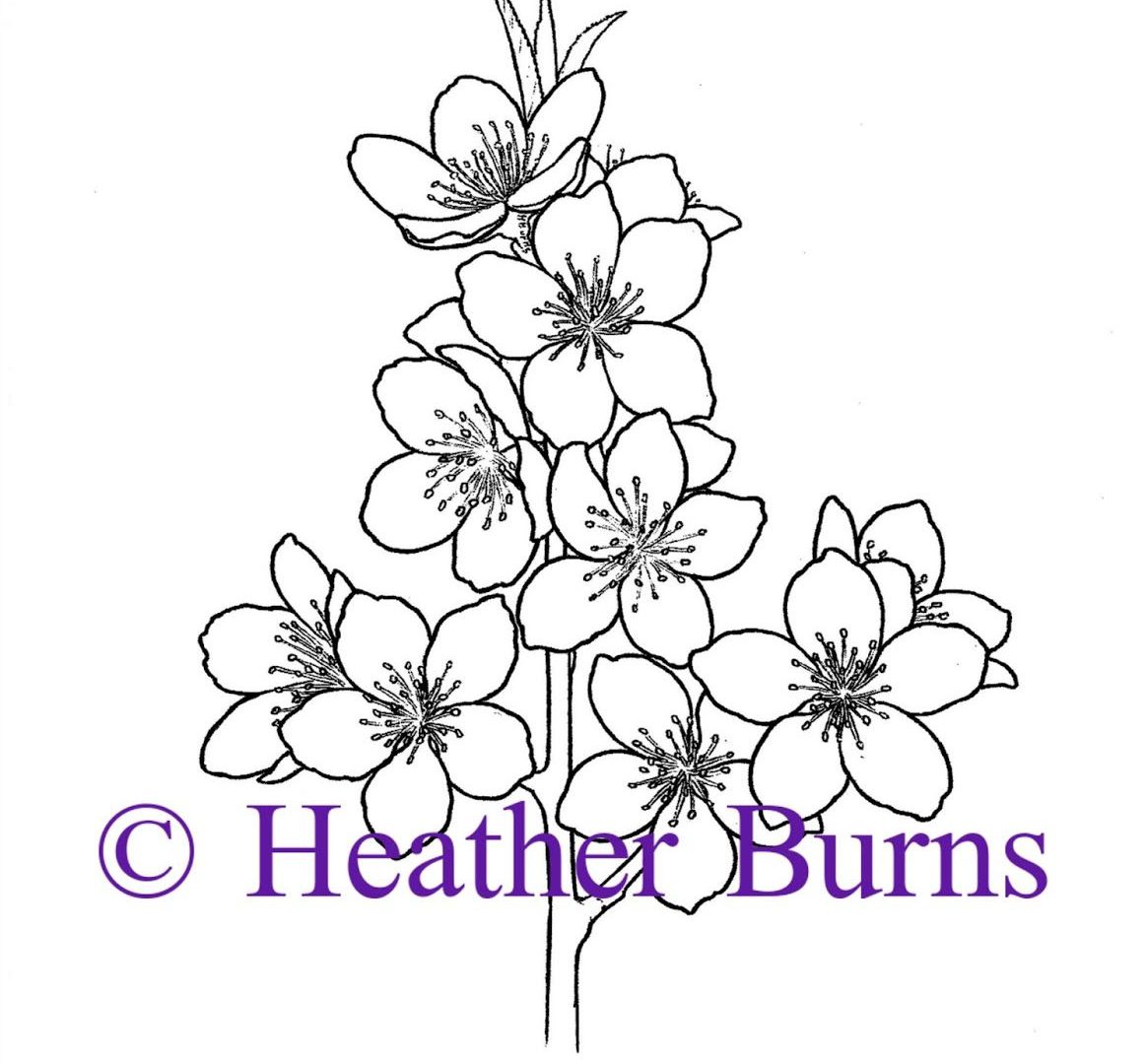 1163x1080 Peach Blossom Coloring Flower For Tattoo Chinese Vector Hand Drawn