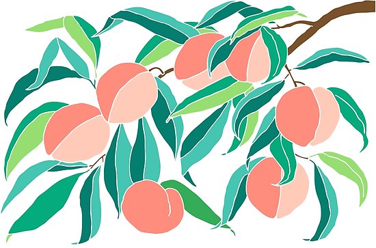 550x363 Peach Tree Posters
