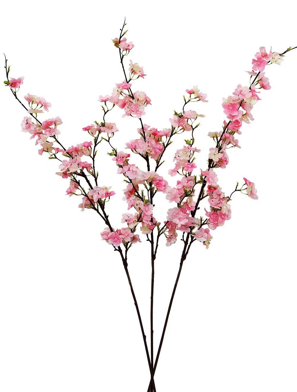 1002x1324 cheap pink peach tree, find pink peach tree deals on line