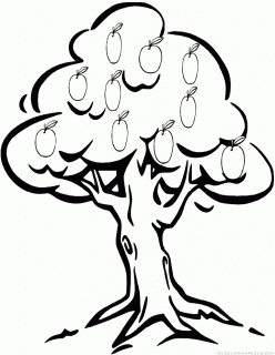 248x320 Tag For Peach Tree Clip Art Tree With Roots Clip Art Cliparts Co