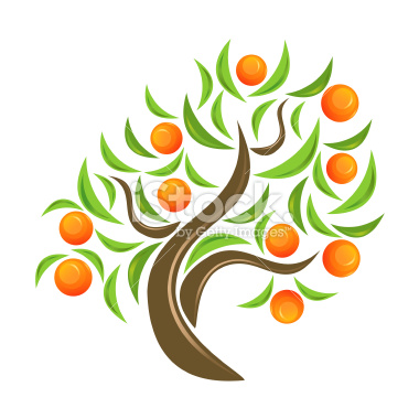 380x380 Orange Tree Drawing