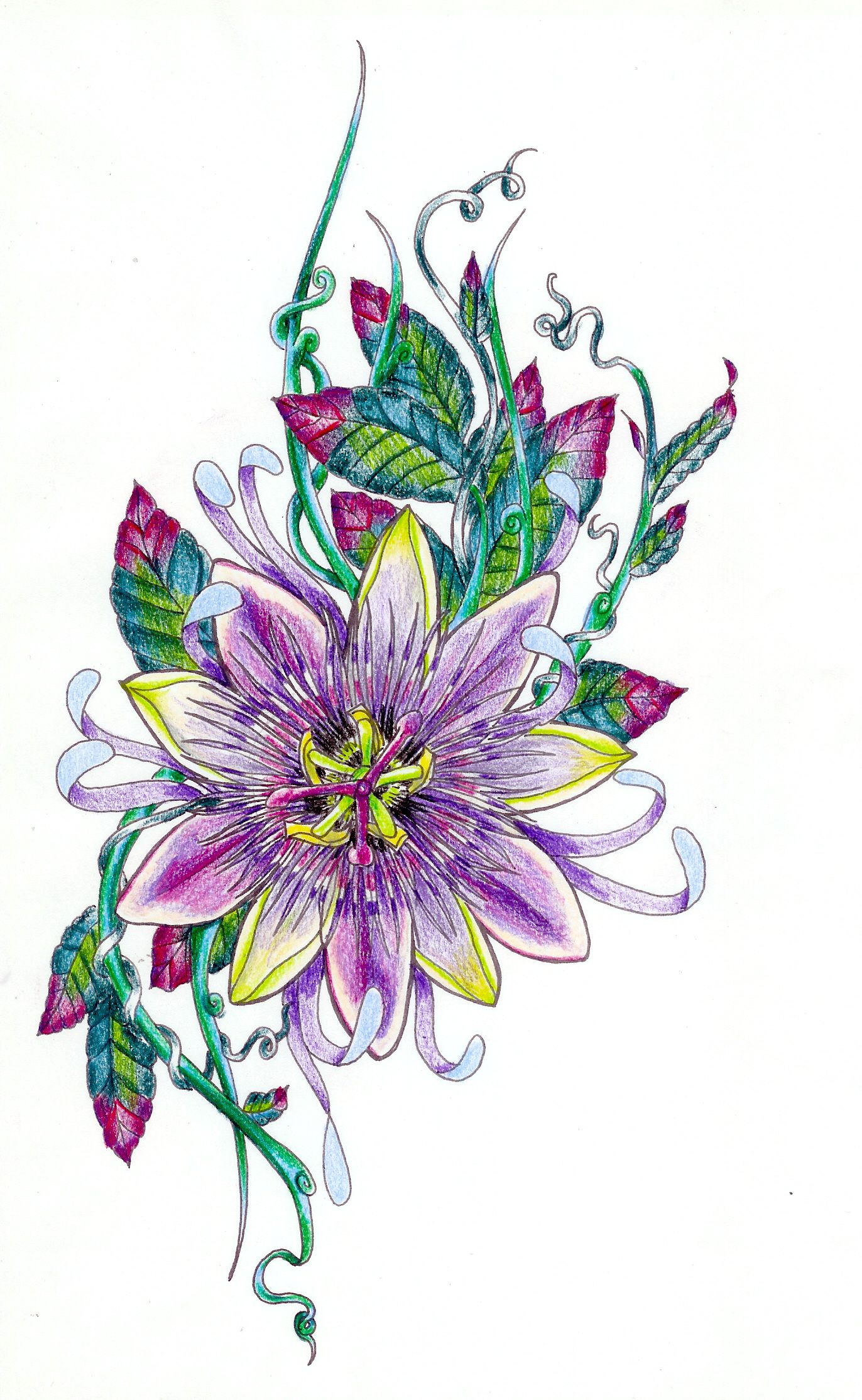 1372x2229 Passion Flower Sketch Rhatbeould Be Great If The Leaves Were
