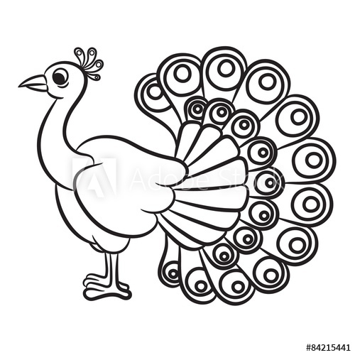 500x500 Illustration Of Peacock Bird On A White Background