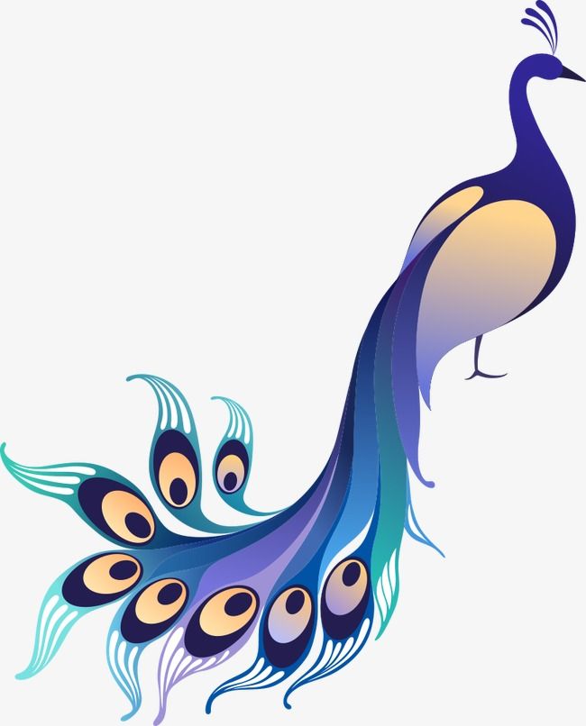 650x806 Sketches In Peacock Drawing, Peacock