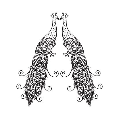 414x416 Two Peacock Birds With Decorative Premium Clipart