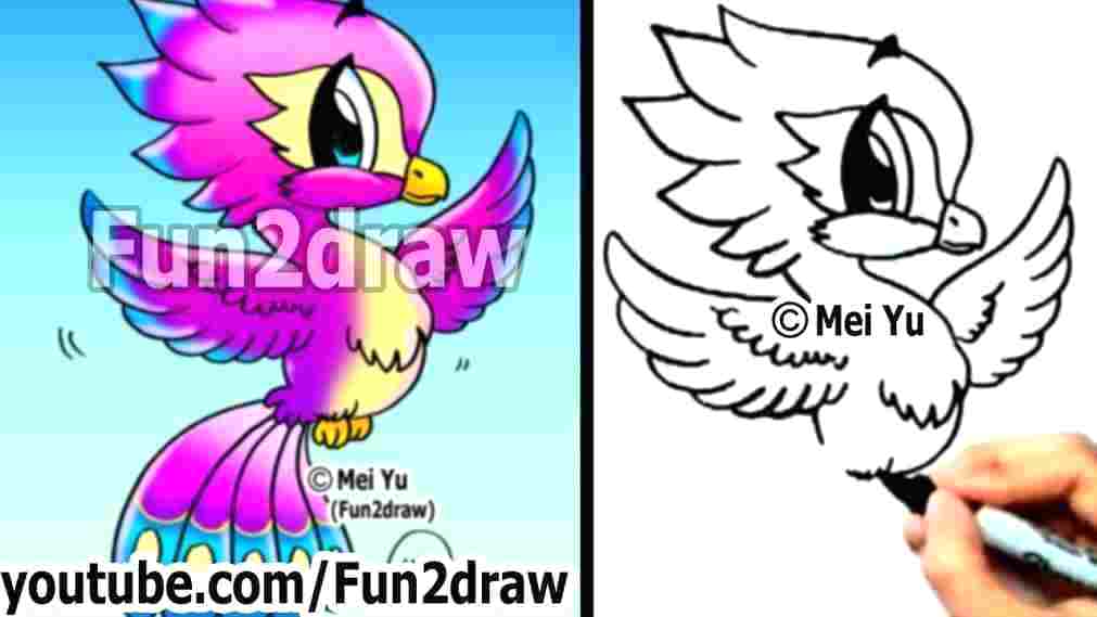 1011x569 How To Draw A Simple Peacock