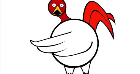 471x250 Bird Drawing Step