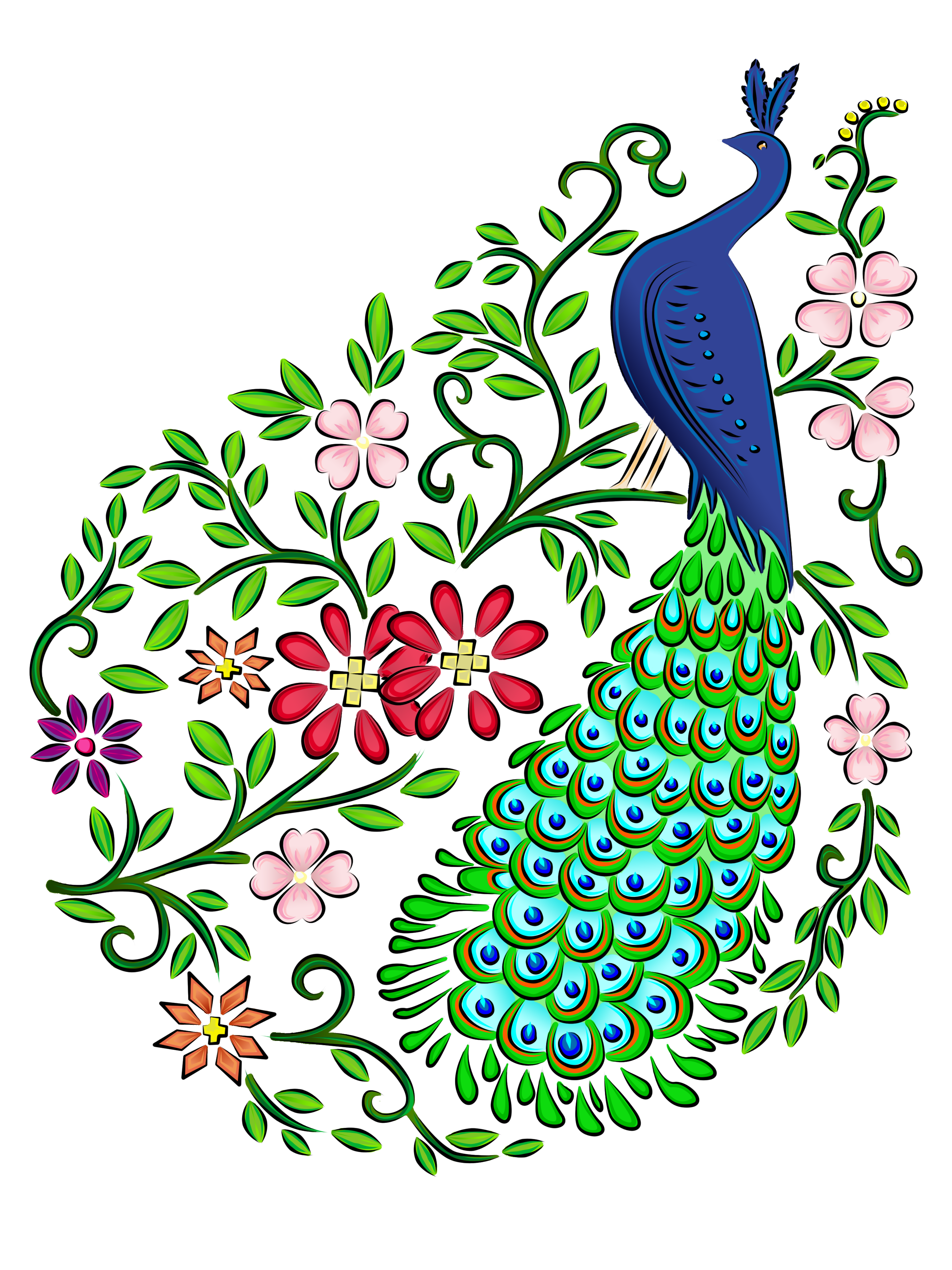 2736x3648 Collection Of Free Peacock Drawing Creative Download On Ui Ex