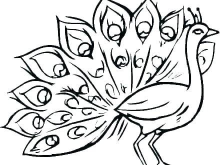 440x330 Coloring Pages Peacock Coloring Pages Peacock Feathers