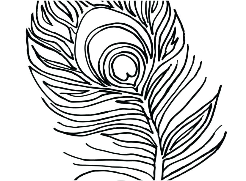 827x609 Feather Coloring