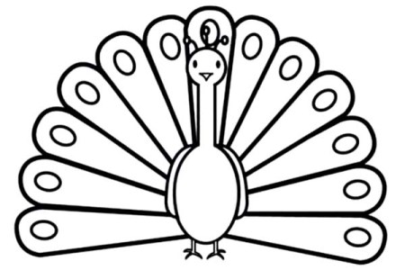 450x300 Peacock Clipart Outline Clip Art Images