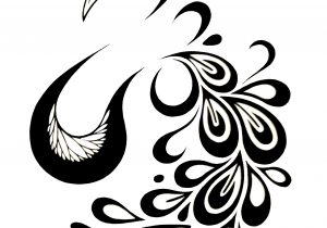 300x210 Peacock Drawing Black And White How To Draw Peacock Stepsteplack