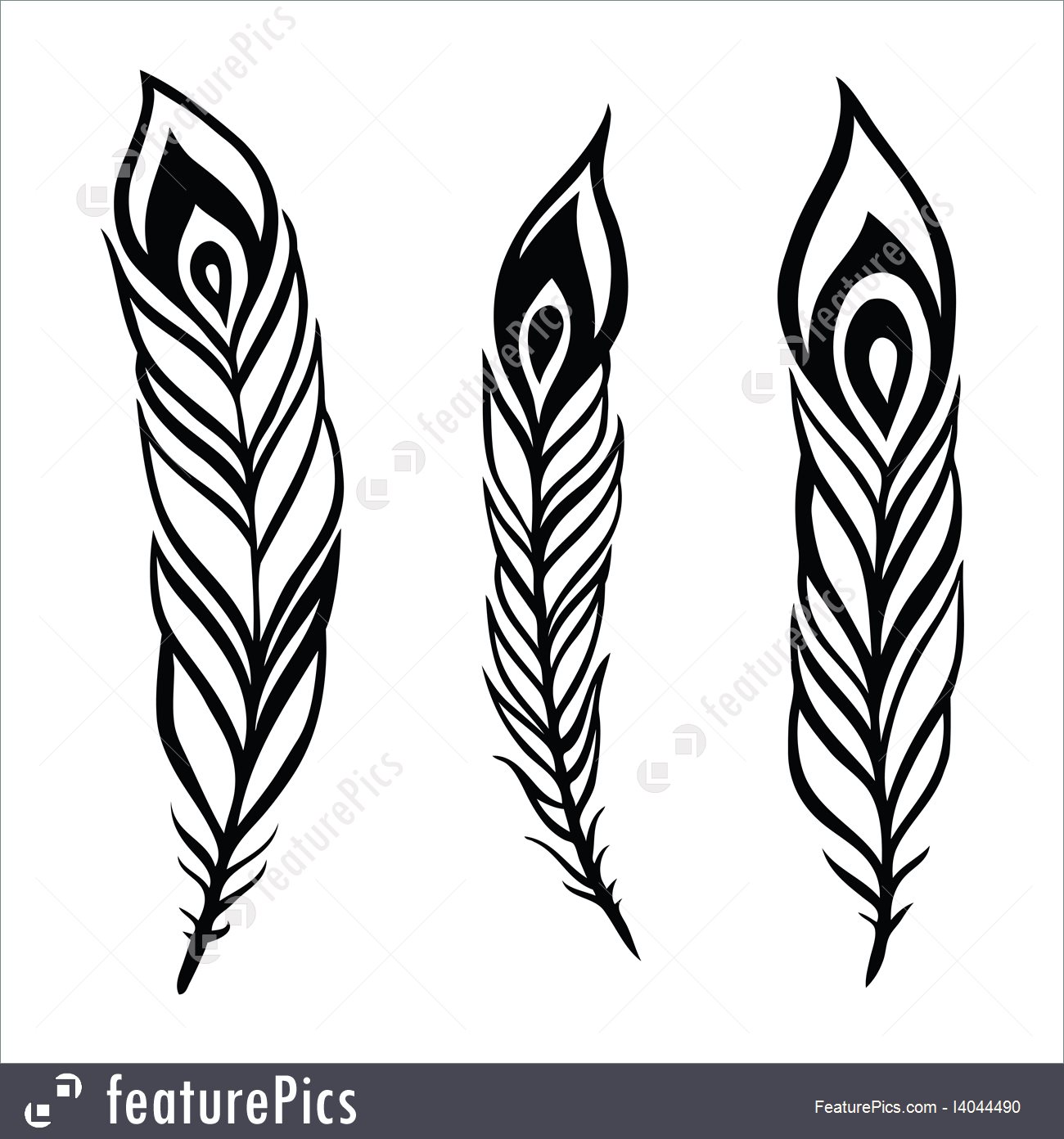 1300x1392 Peacock Feather Set Illustration