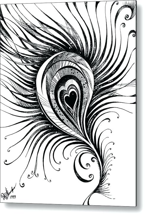 494x728 Drawing Of A Peacock