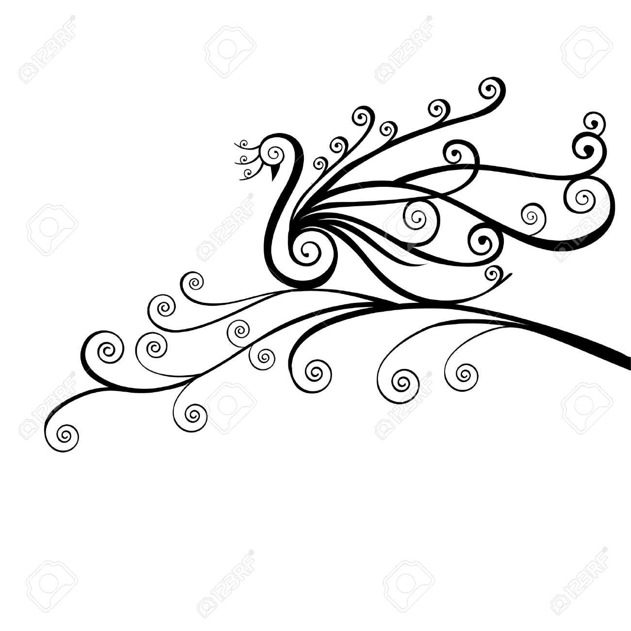 1300x1300 Black And White Peacock Designs