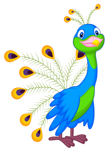 365x500 Cute Peacock Peacocks