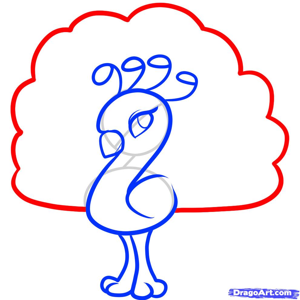 991x991 How To Draw A Peacock For Kids, Step